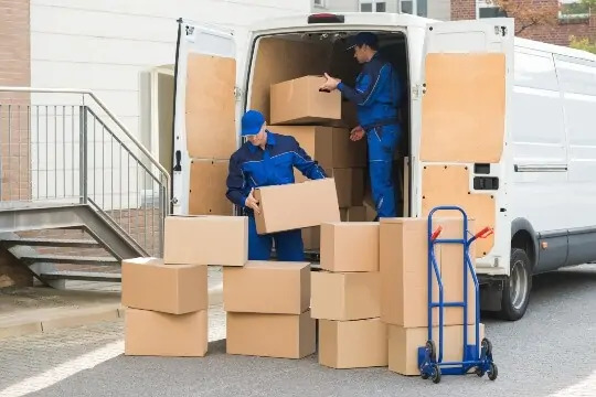 Expert Removal Company